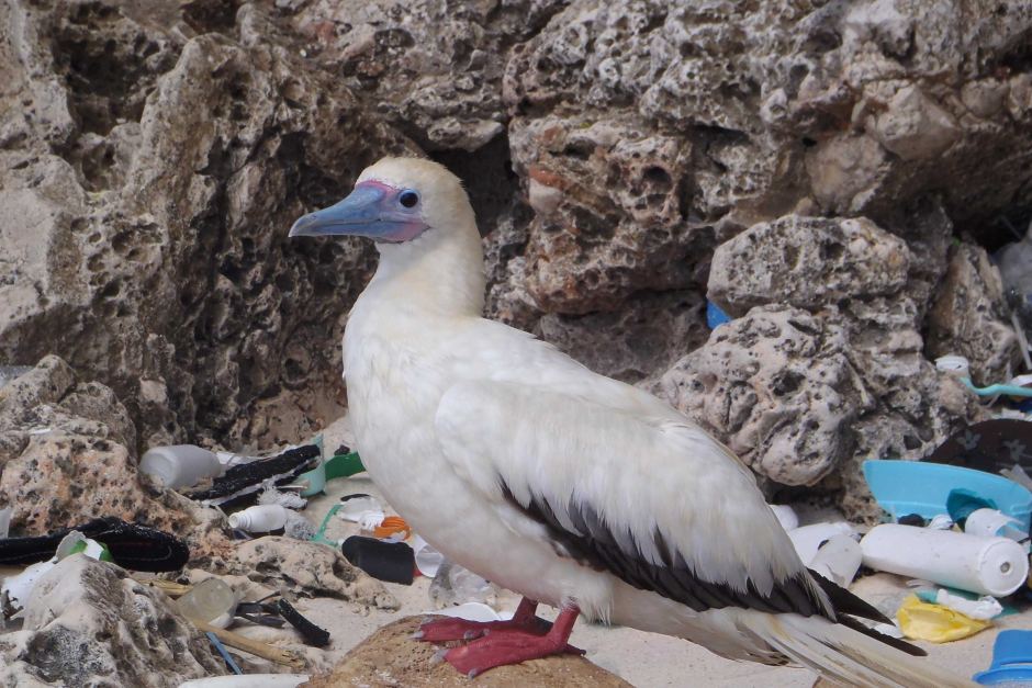 use less plastic