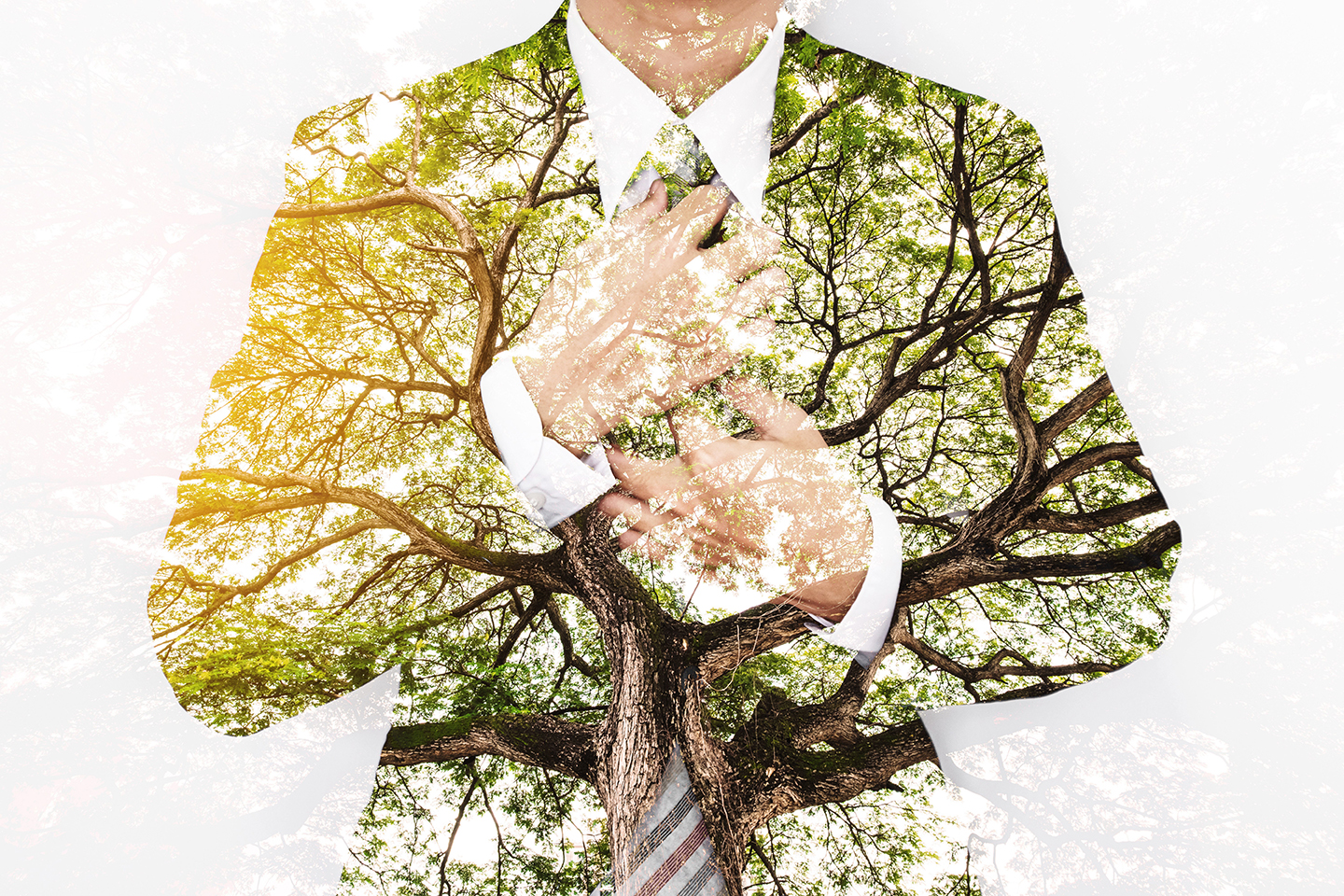 Sustainable Fashion
